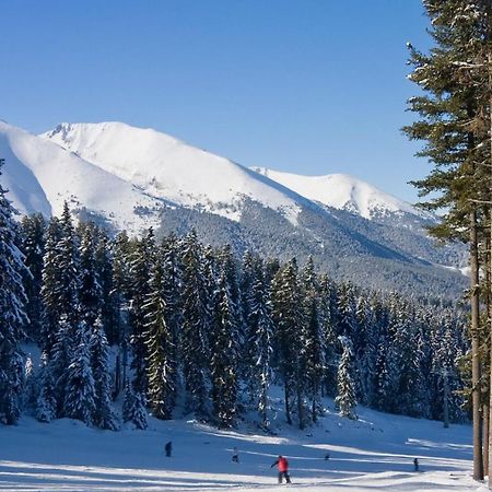 Skiing, Walking, Enjoying In Mountains بانسكو المظهر الخارجي الصورة