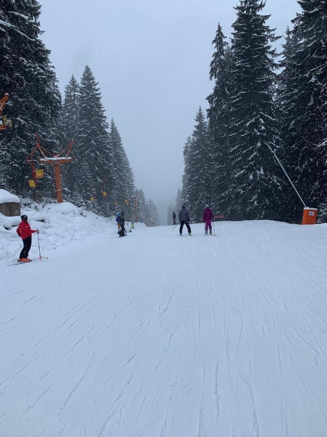 Skiing, Walking, Enjoying In Mountains بانسكو المظهر الخارجي الصورة