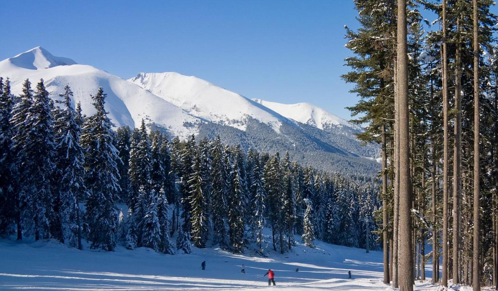 Skiing, Walking, Enjoying In Mountains بانسكو المظهر الخارجي الصورة