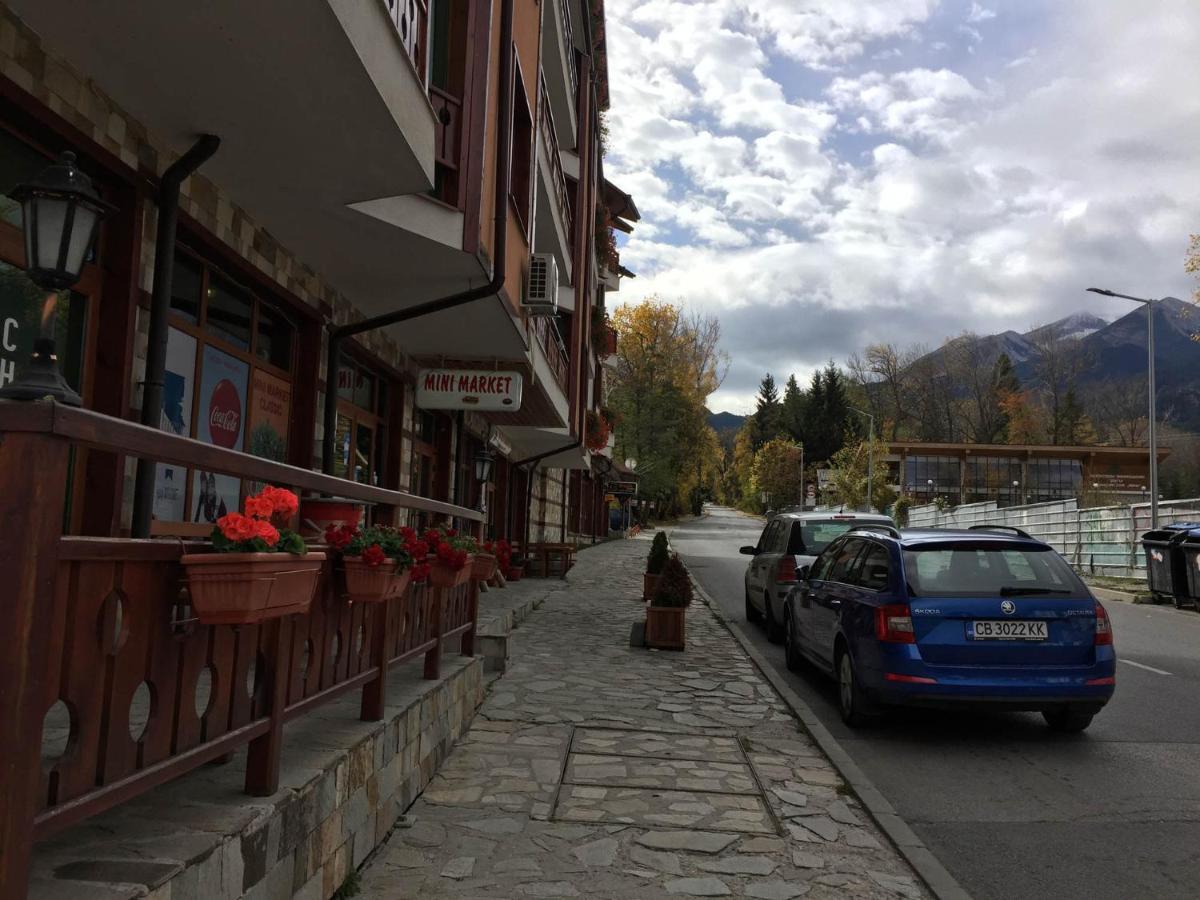 Skiing, Walking, Enjoying In Mountains بانسكو المظهر الخارجي الصورة
