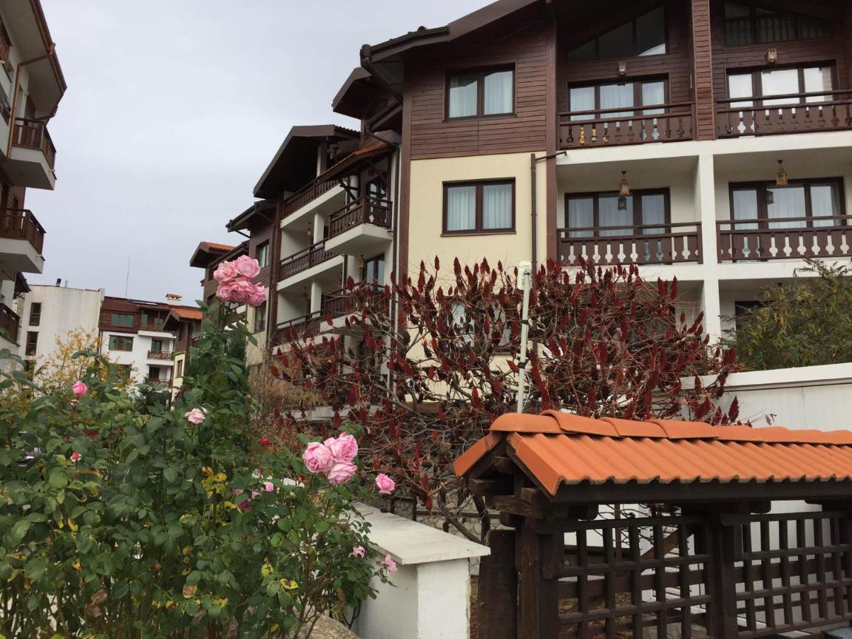 Skiing, Walking, Enjoying In Mountains بانسكو المظهر الخارجي الصورة
